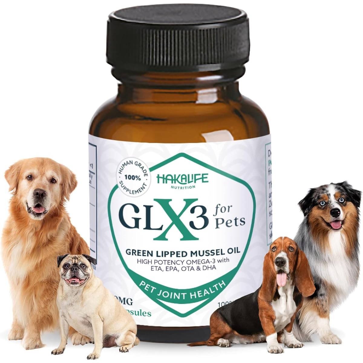 HAKA GLX3 huile coquilles vertes pour chien, bouteille, soutien naturel des articulations.