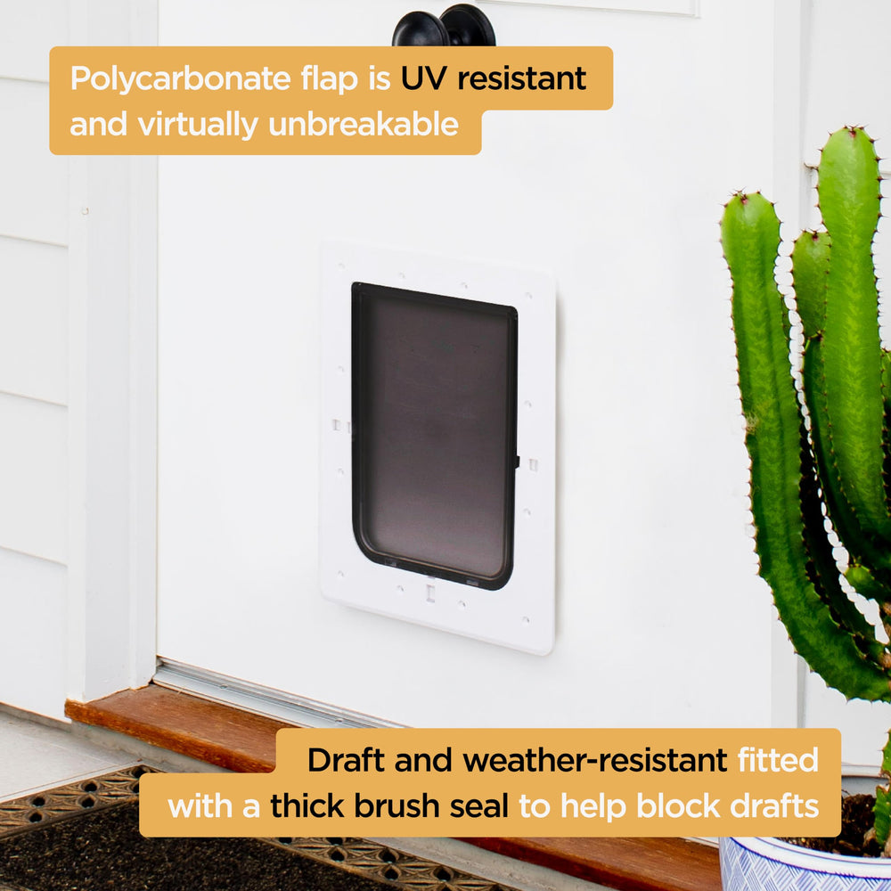 Panneau en polycarbonate résistant aux UV Hakuna Pets pour l\'extérieur.