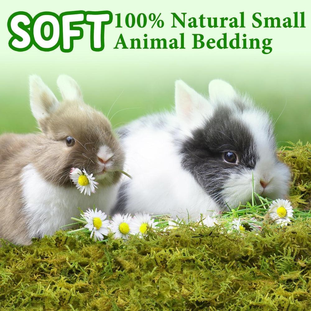 Halatool mousse forêt absorption triple couche, terrarium sec plus longtemps