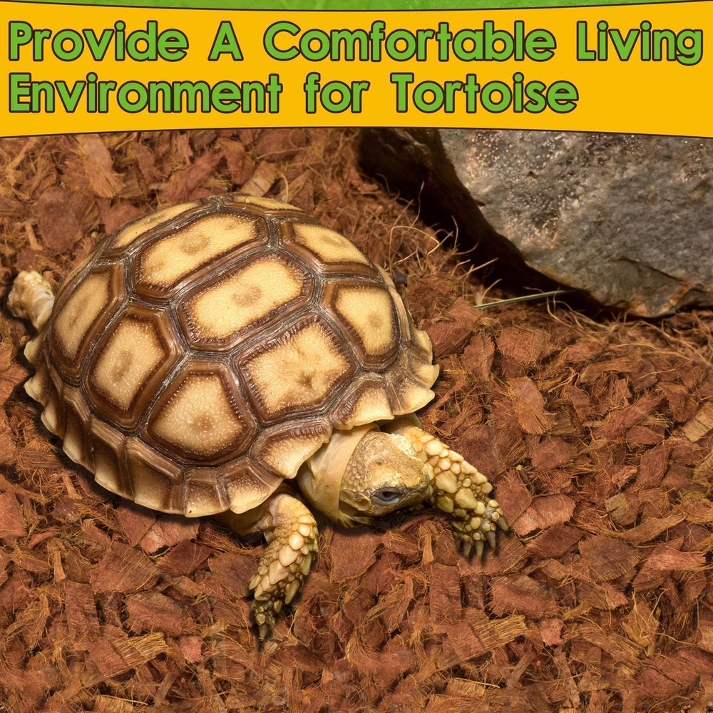 Halatool: habitat terrarium avec humidité stable et entretien facile.