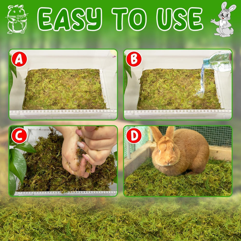 Halatool solution universelle pour hamsters, gerbilles, cochons inde et hérissons
