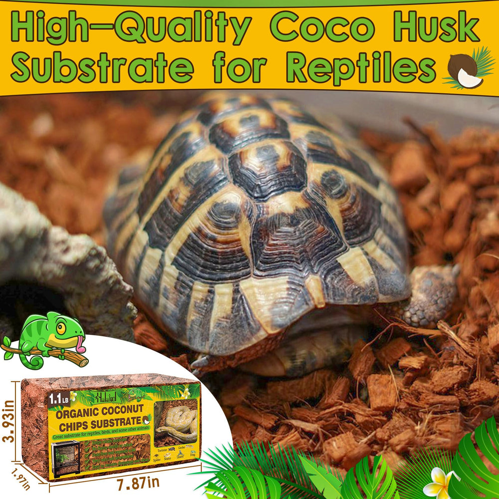 Halatool: substrat écorce de coco naturel, surface propre pour reptiles.