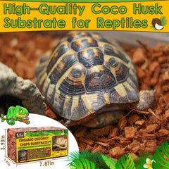 Halatool: substrat écorce de coco naturel, surface propre pour reptiles.
