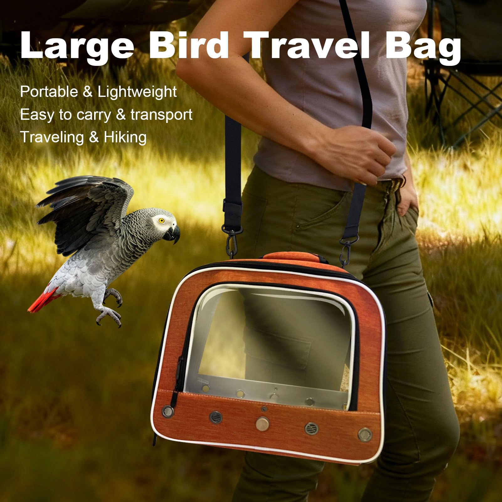 Halinfer cage adaptée pour oiseaux moyens et grands comme gris africain.