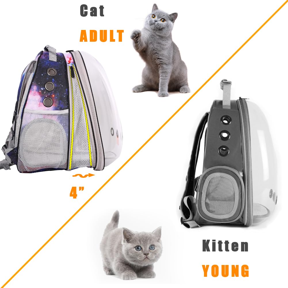Sac chat halinfer impression artistique, sac à dos élégant pour voyages