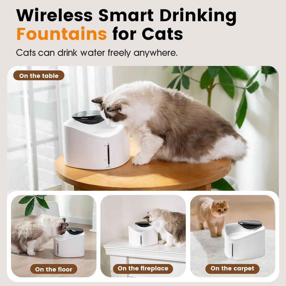 HALKYDY fontaine chat réservoir amovible pour nettoyage rapide.