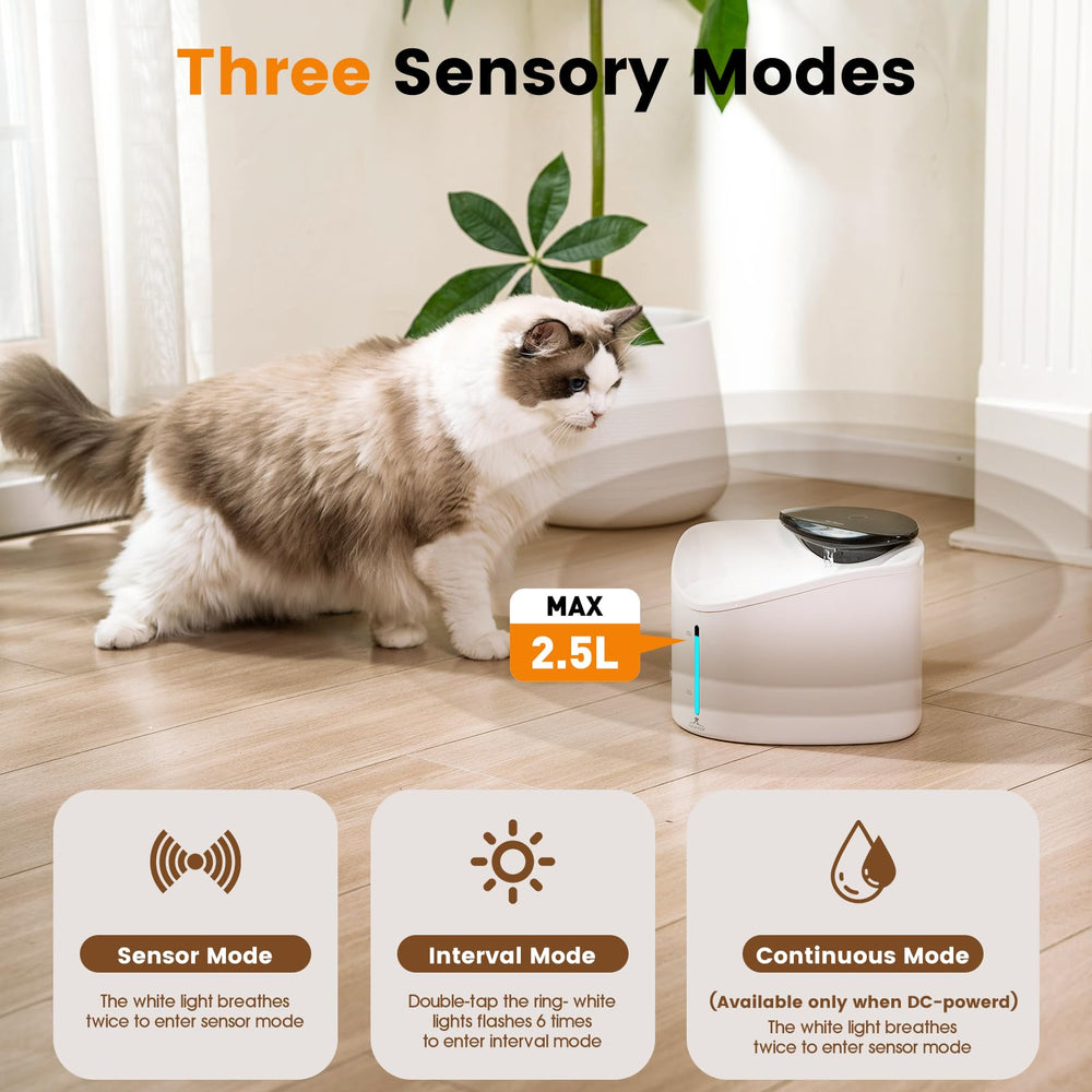 HALKYDY fontaine chat modes d’écoulement et lumière LED.