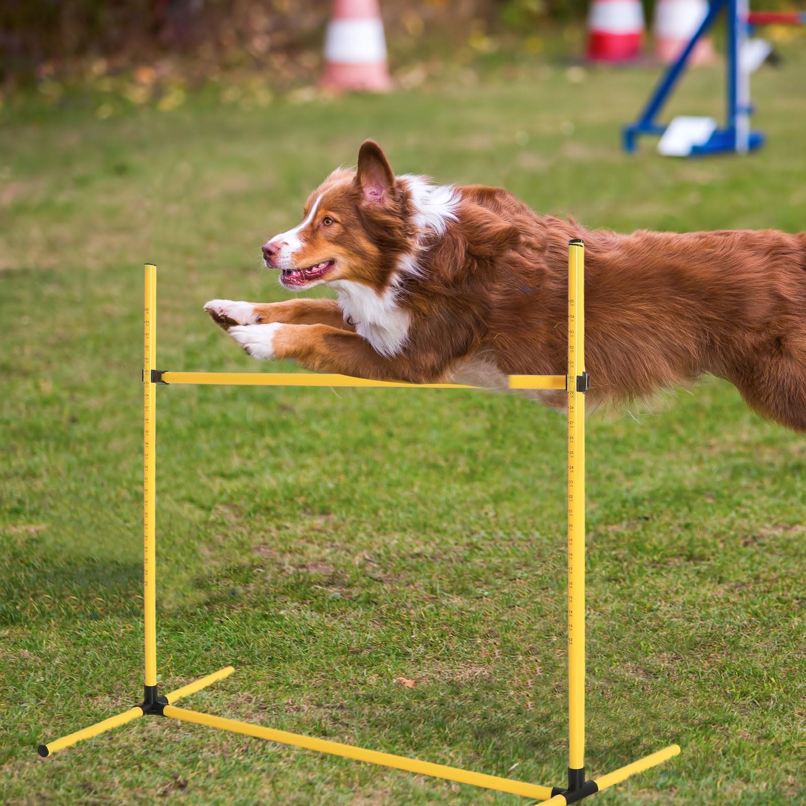Halloscume barres-ajustables-sauts-chien: progression adaptée