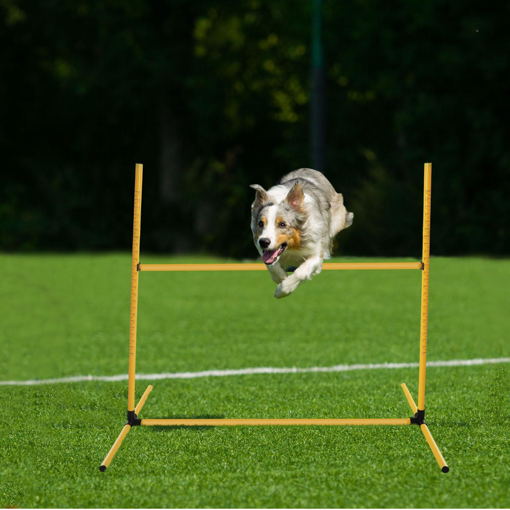 Halloscume sifflet entraînement-chien: guide vocal utile