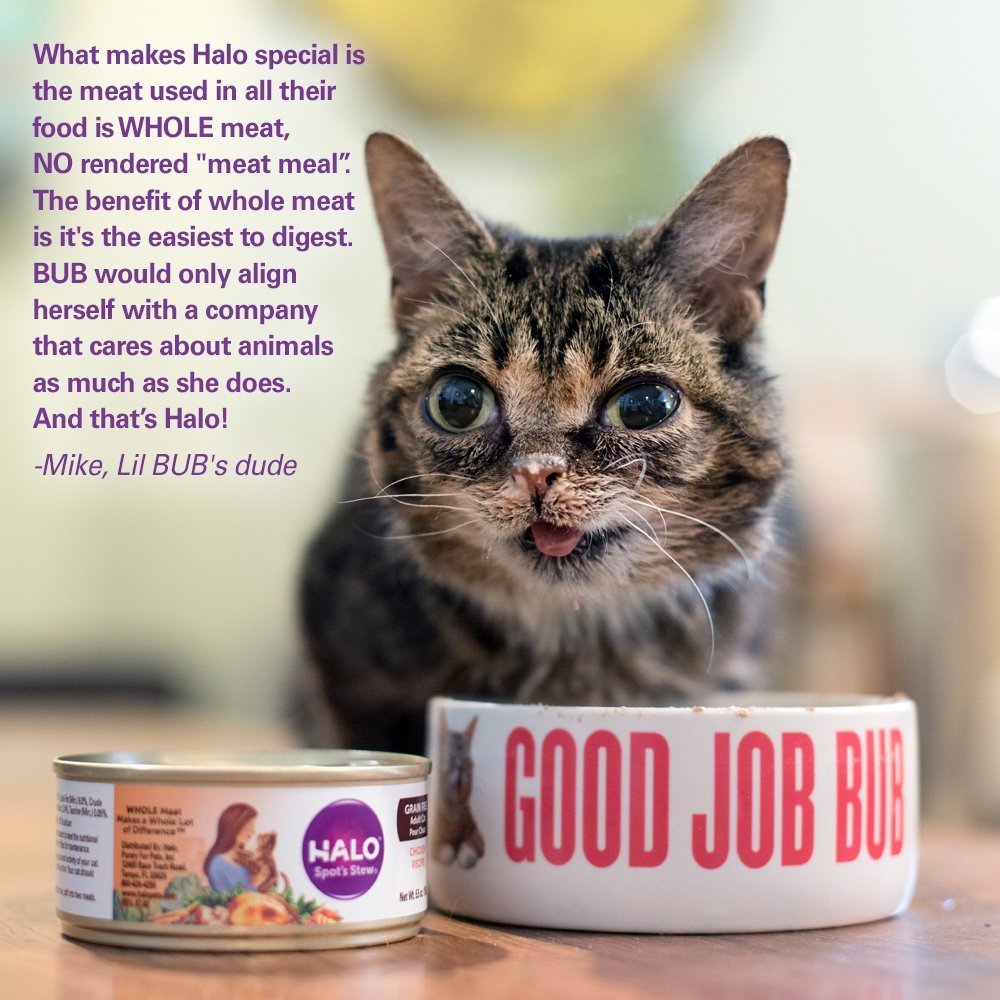 Halo Pâté Chat : ingrédients-naturels-taurine pour yeux et cœur.