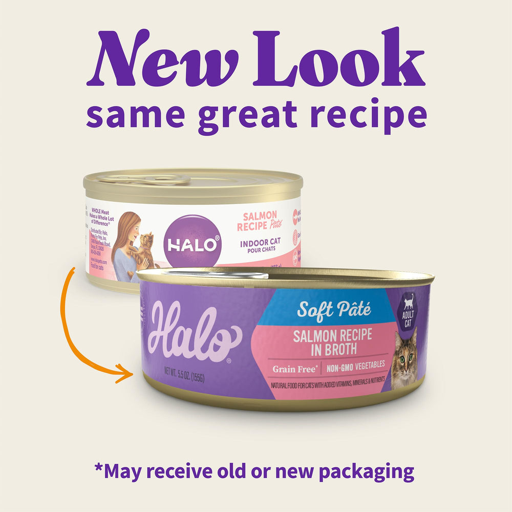 Halo chat saumon pâté humide – texture lisse et appétissante.