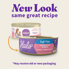 Halo chat saumon pâté humide – texture lisse et appétissante.