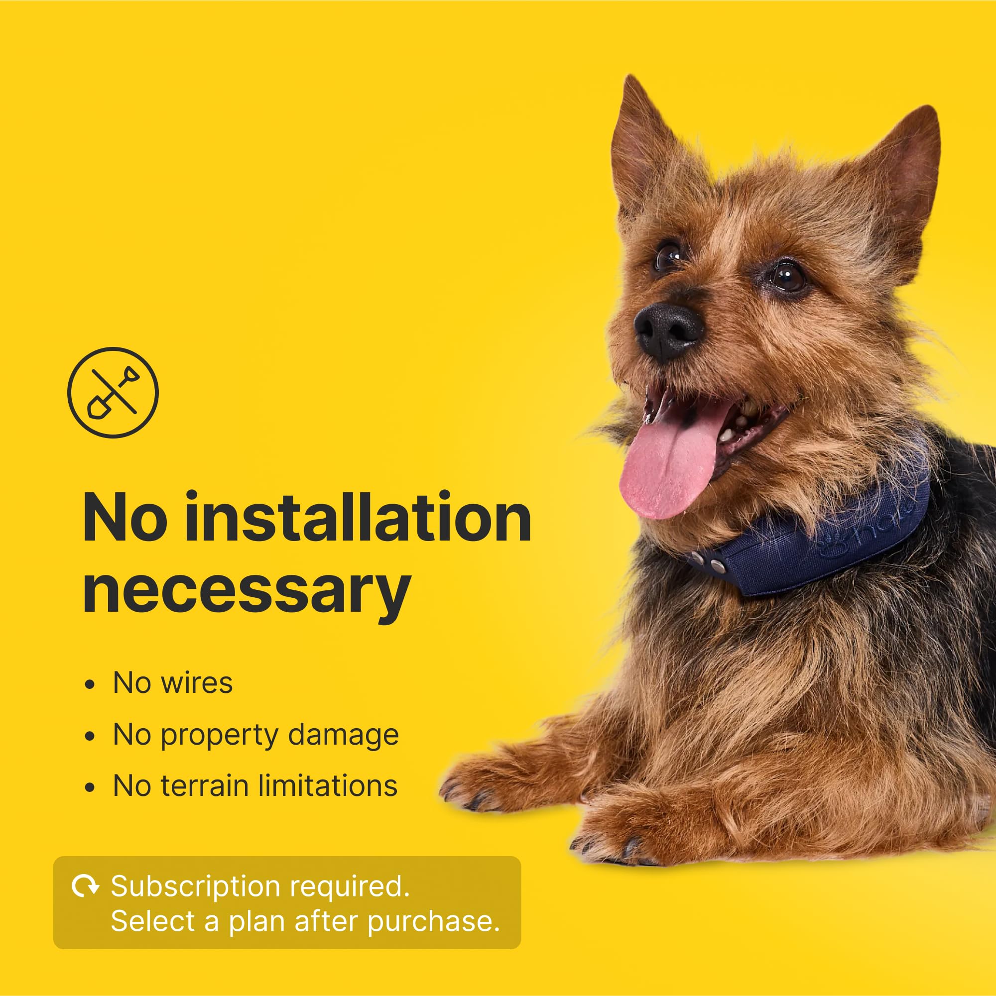 Halo Collar 4 permet le contrôle via l'application pour définir les frontières.