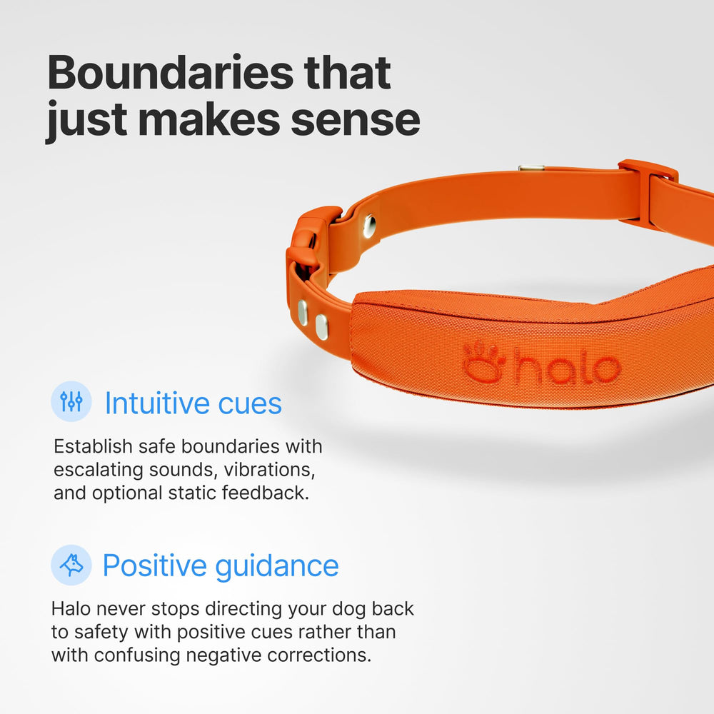 Halo Collar 5 : batterie longue durée assurant plus de temps sans recharge.
