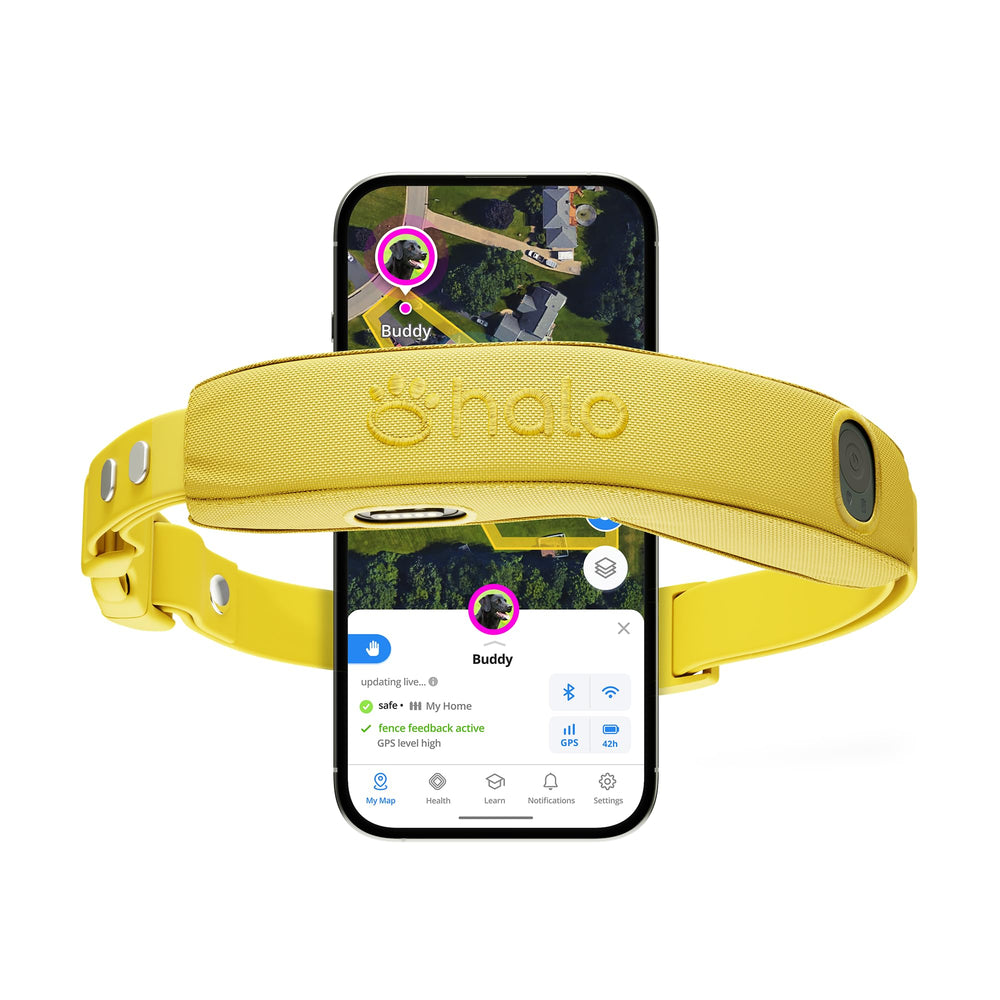 Halo Collar 5: boîtier sans fil prêt à l’emploi pour suivi précis en extérieur.