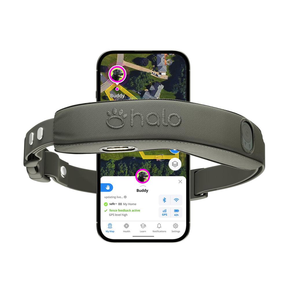 Halo Collar 5, collier extérieur pour chien, sécurité et liberté lors des sorties