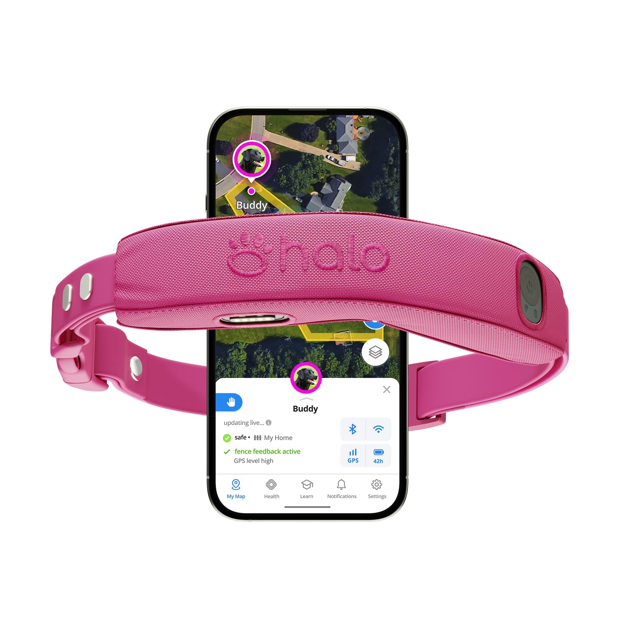 Halo Collar 5 – écran d'application montrant le contrôle et le suivi en temps réel du chien.