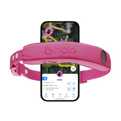 Halo Collar 5 – écran d'application montrant le contrôle et le suivi en temps réel du chien.