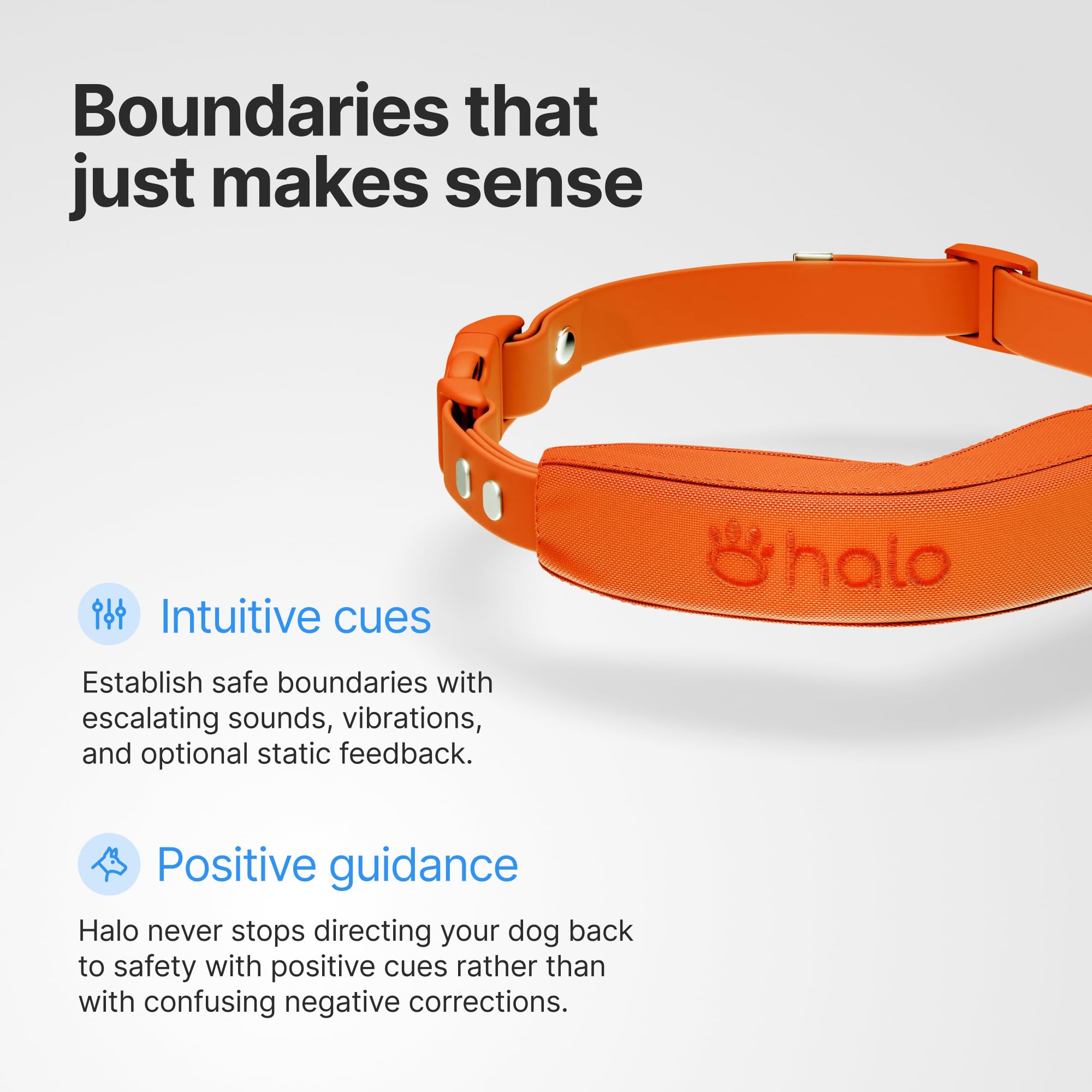 Halo Collar 5 étanche IP67 et ajustable pour la plupart des chiens.