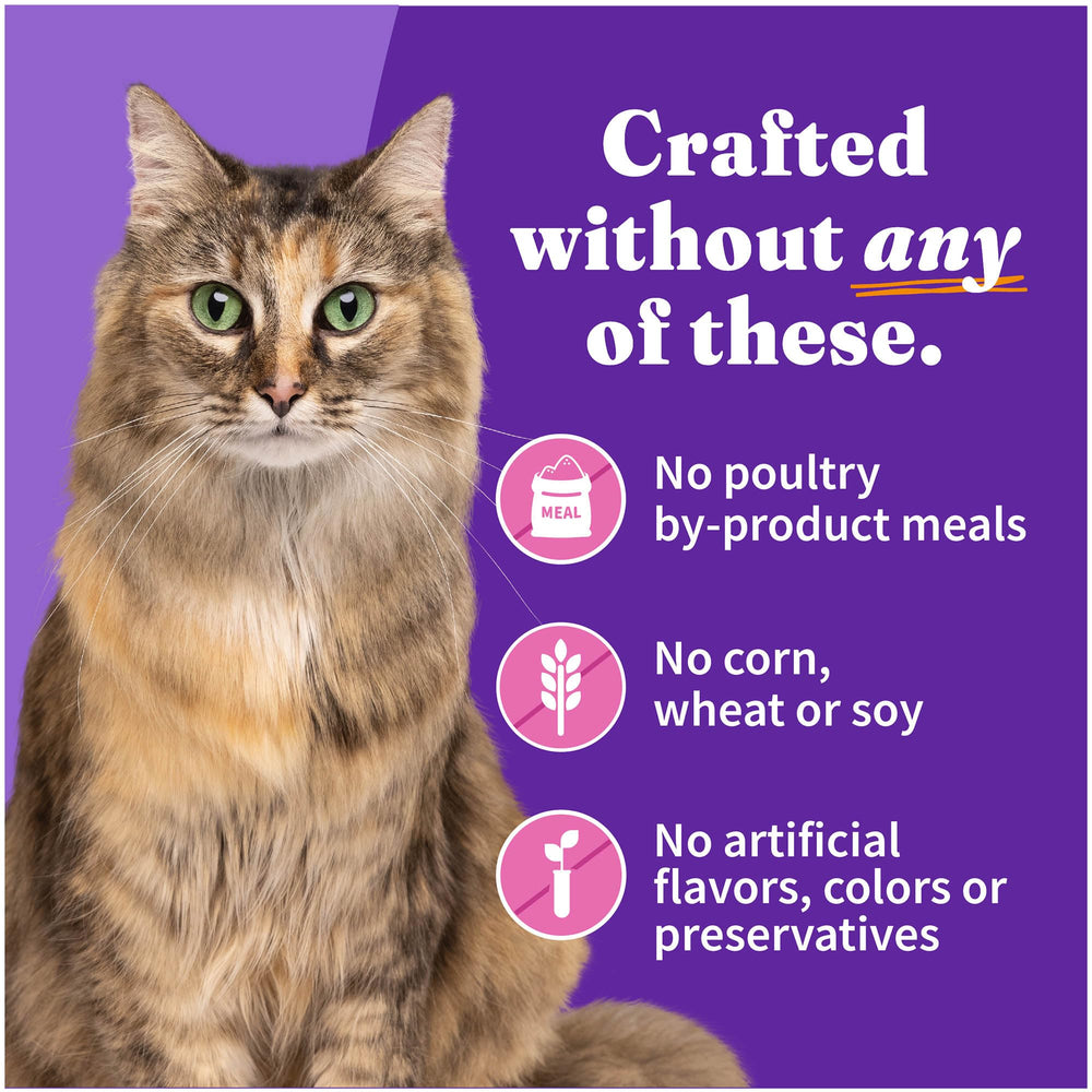 Halo dinde pâté chat sans céréales : option sans céréales pour diversité.