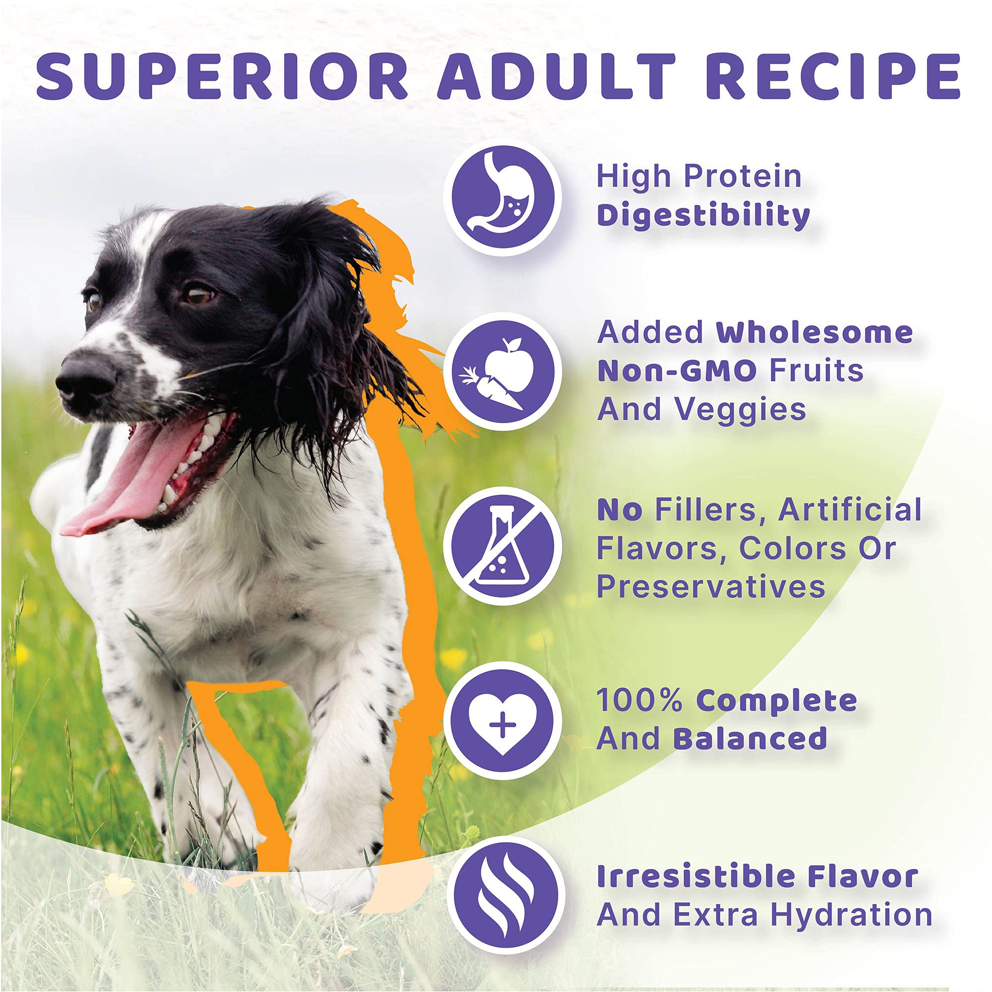 Halo Healthy Grains texture pâté facile à manger pour chien adulte.