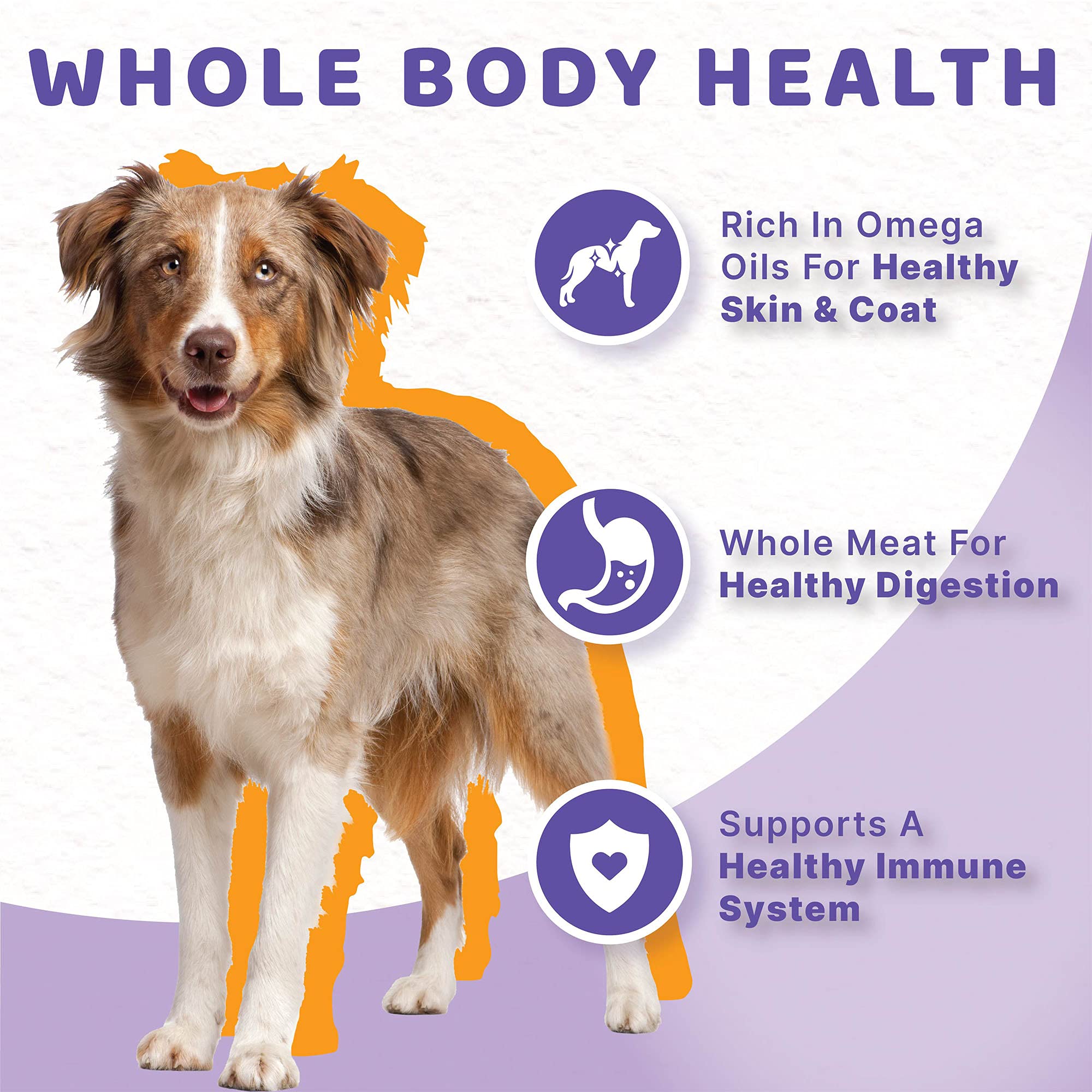 Halo Healthy Grains poulet réel pour chien adulte actif.