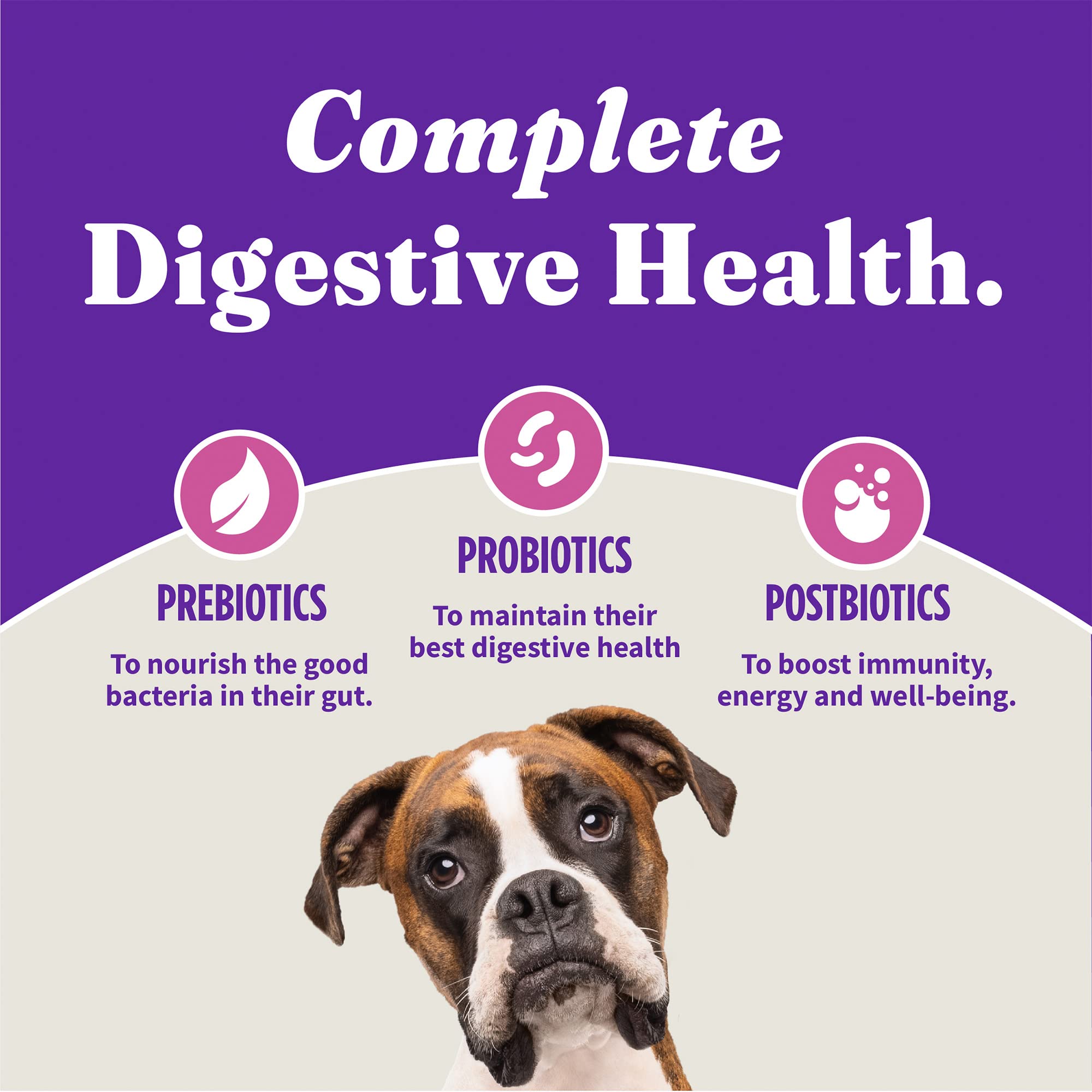 Halo Holistic digestion-optimale: soutien digestif adapté pour chien adulte.