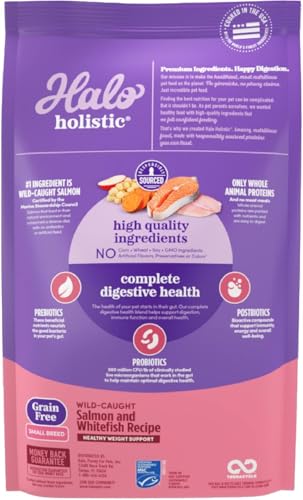 Halo Holistic croquettes petit chien, protéines élevées et pelage brillant.