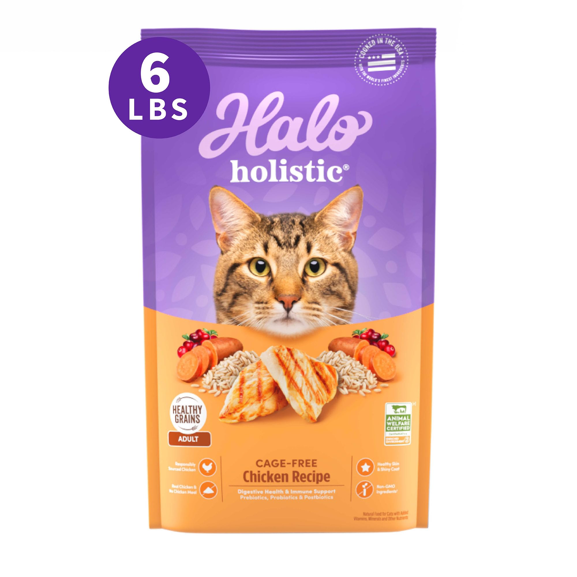 Halo Holistic croquettes sèches au poulet — croquant apprécié des chats adultes.