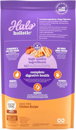 Halo Holistic poulet entier et ingrédients naturels — équilibre nutritionnel pour votre chat.