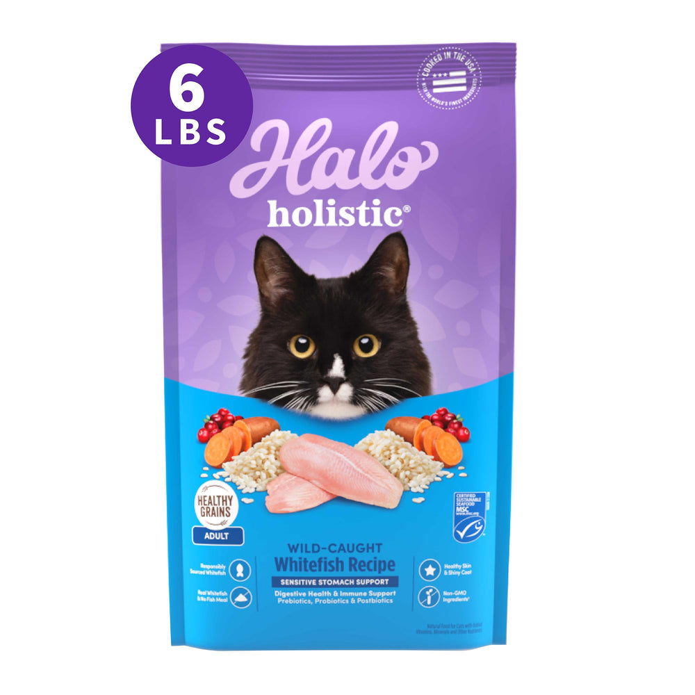 Halo Holistique Chat Poisson Blanc Sauvage, sac de 6 livres, soutien digestif potentiel.