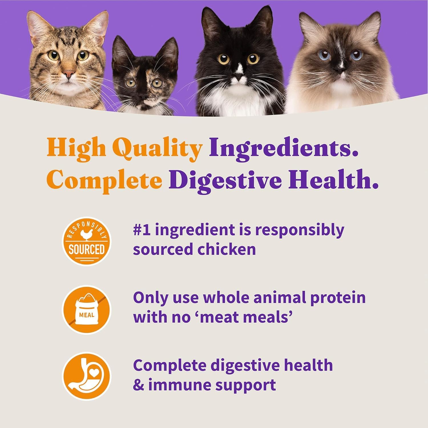 Halo Holistique digestion optimale et confort intestinal chez le chat adulte.