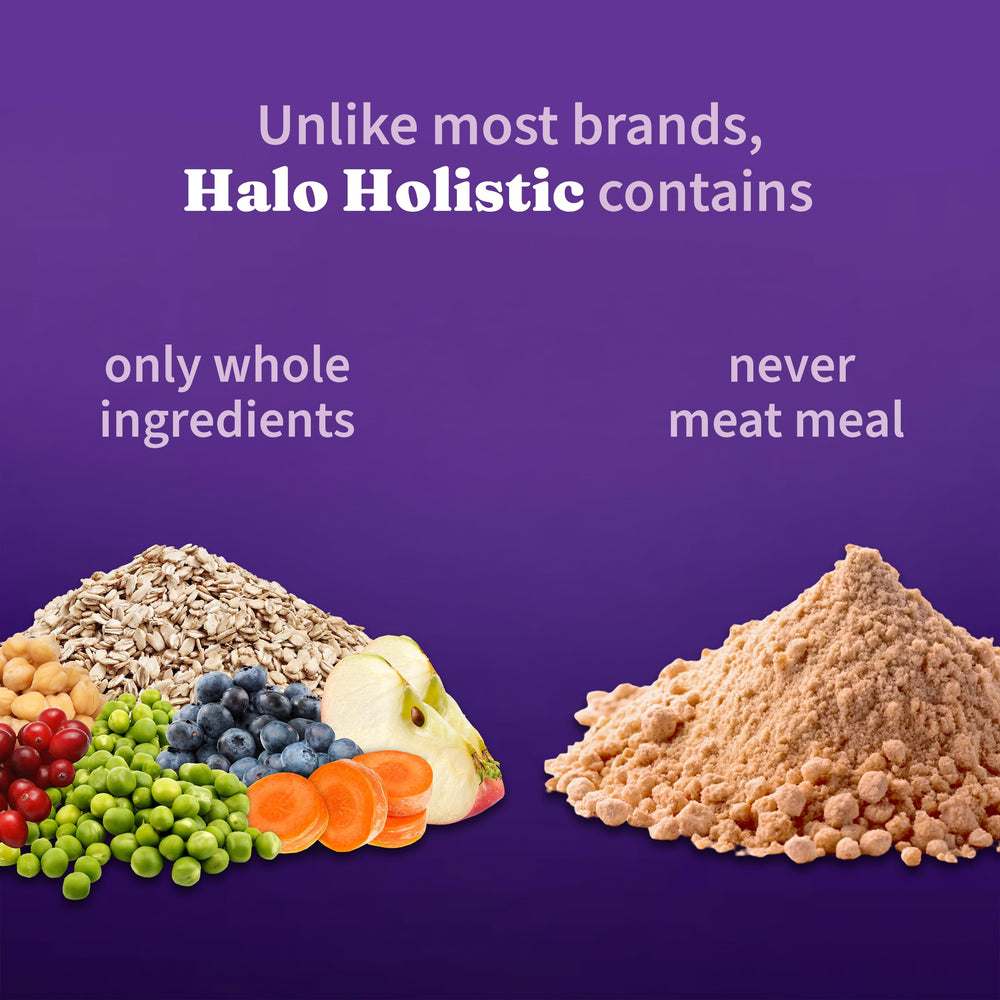 Halo Holistic Vegan croquettes cuite aux Etats-Unis, qualité et traçabilité.