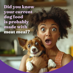 Halo Holistic ingrédients non-GMO sans maïs, blé ni soja pour chiens sensibles.