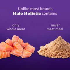 Halo Holistic prébiotiques-probiotiques-digestif — soutien intestinal et immunitaire.