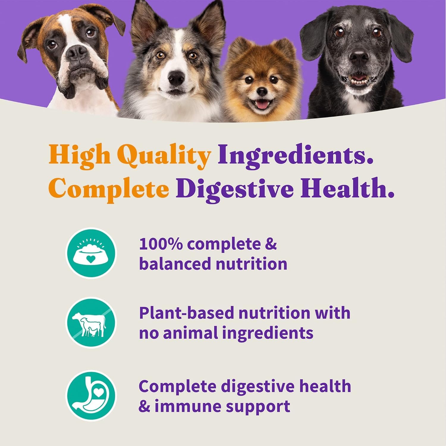 Halo Holistic Vegan sans maïs, blé ni soja, alimentation naturelle.