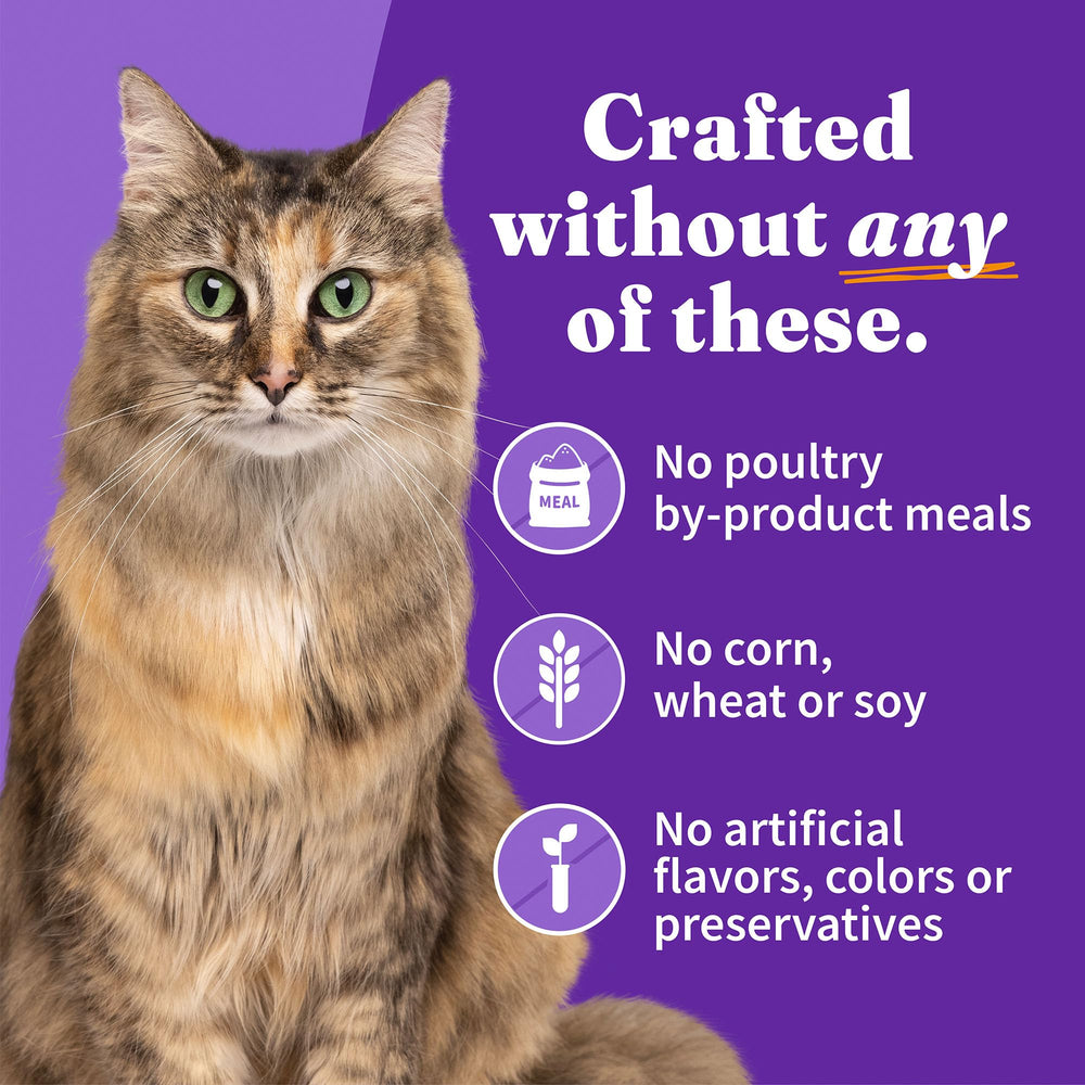 Halo lot variété chat : trois saveurs en une solution pratique.
