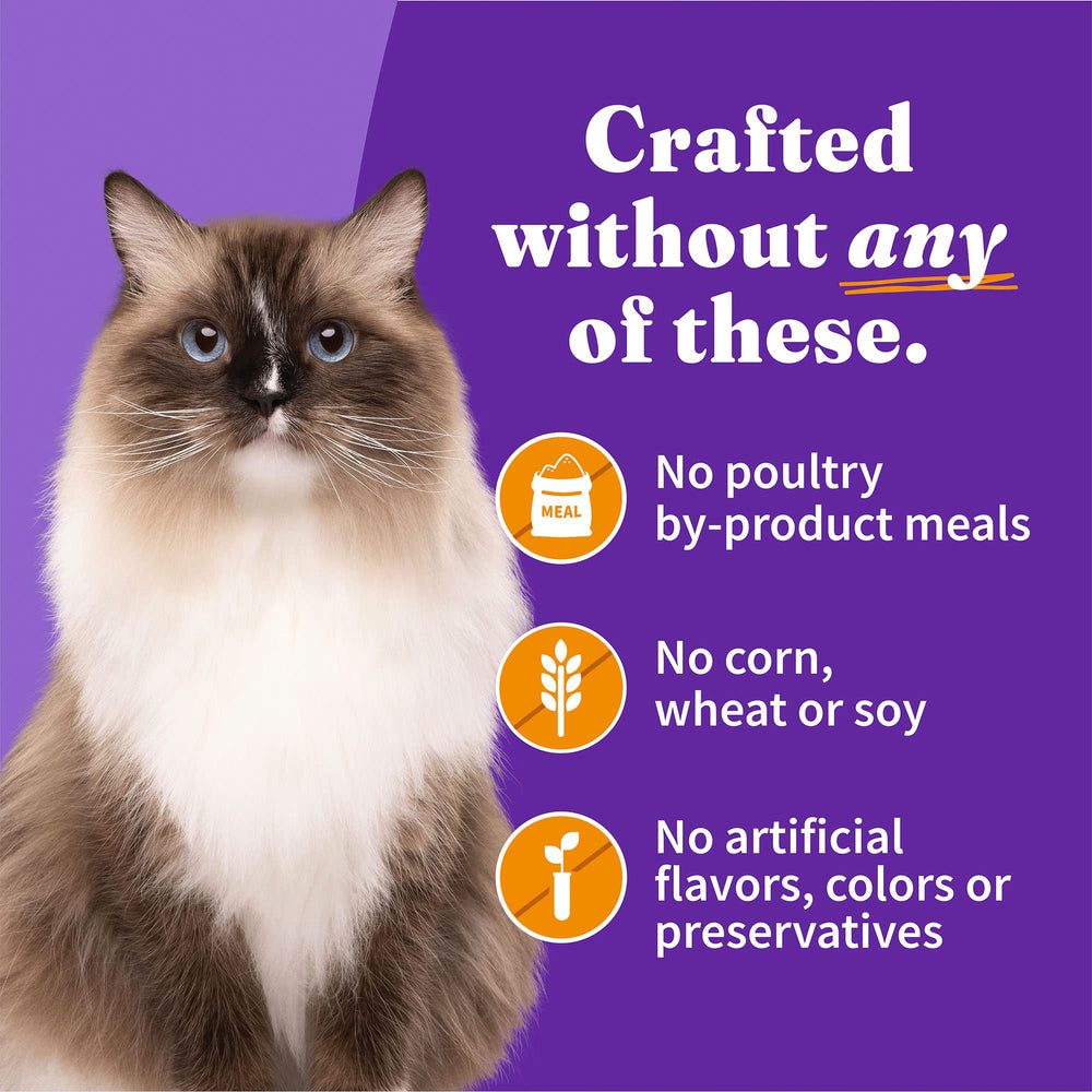 Halo pâté chat poulet entier, servi seul ou en topping sur croquettes