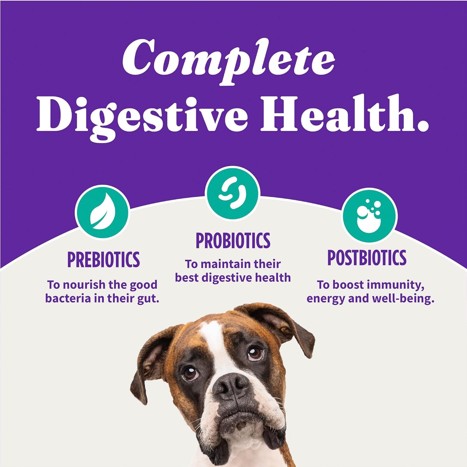 Halo Nourriture Vegan Holistique pour Chien — croquettes croustillantes faciles à mâcher.