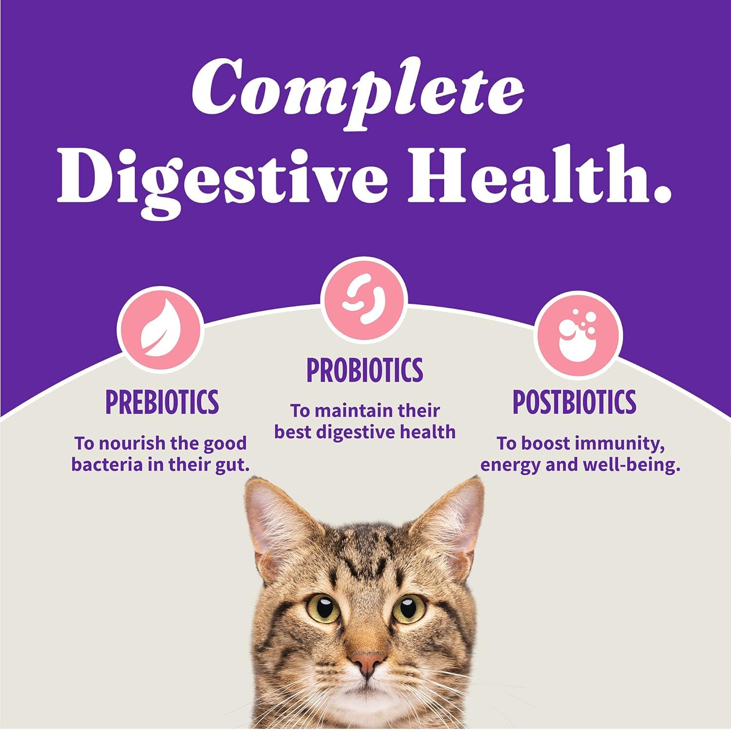 Halo Holistic croquettes chat oméga pour peau et poil