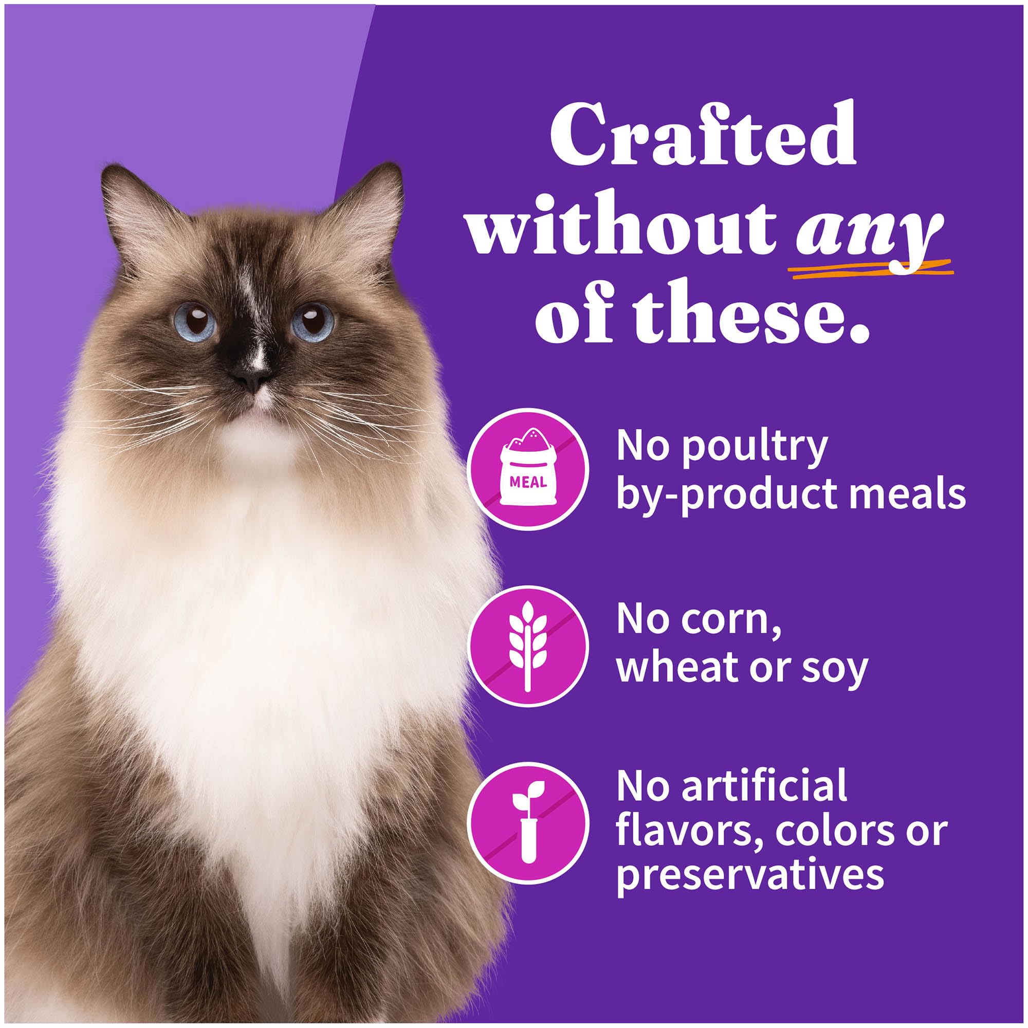 Halo Pâté Chat : sans colorants ni artificiels pour une alimentation naturelle.