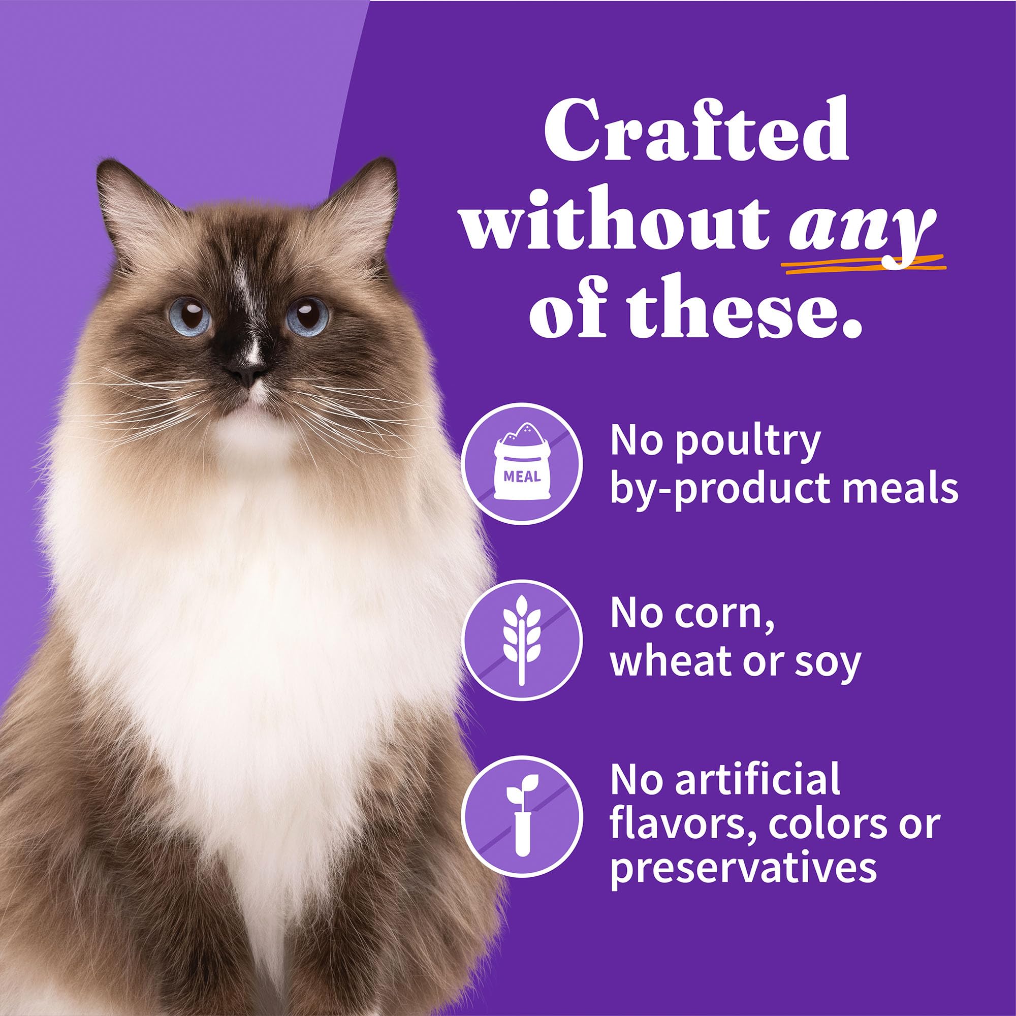 Halo pâté chat taurine soutien yeux et cœur: nutrition adaptée pour les adultes.