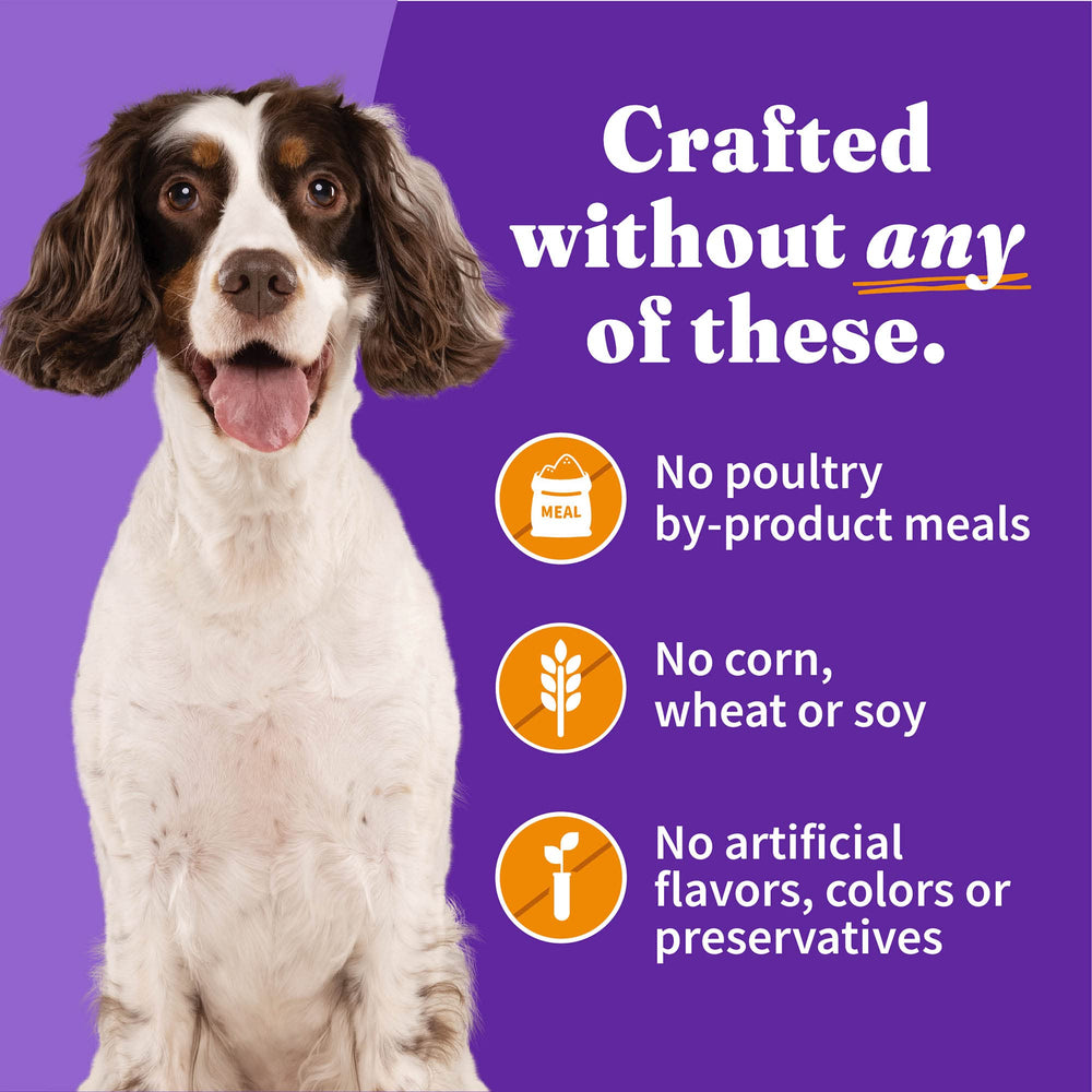 Halo sans maïs, sans blé ni soja, option naturelle pour chiens sensibles.