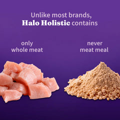 Halo Holistic: peau et pelage sains grâce à l'équilibre oméga.