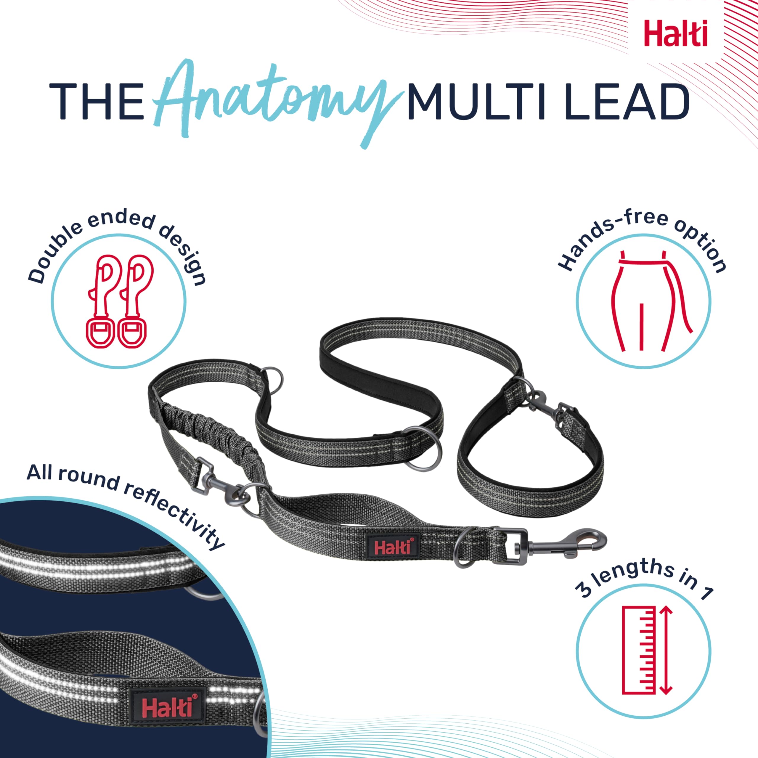 Halti Anatomy avec bungee absorbant pour des sorties plus fluides.