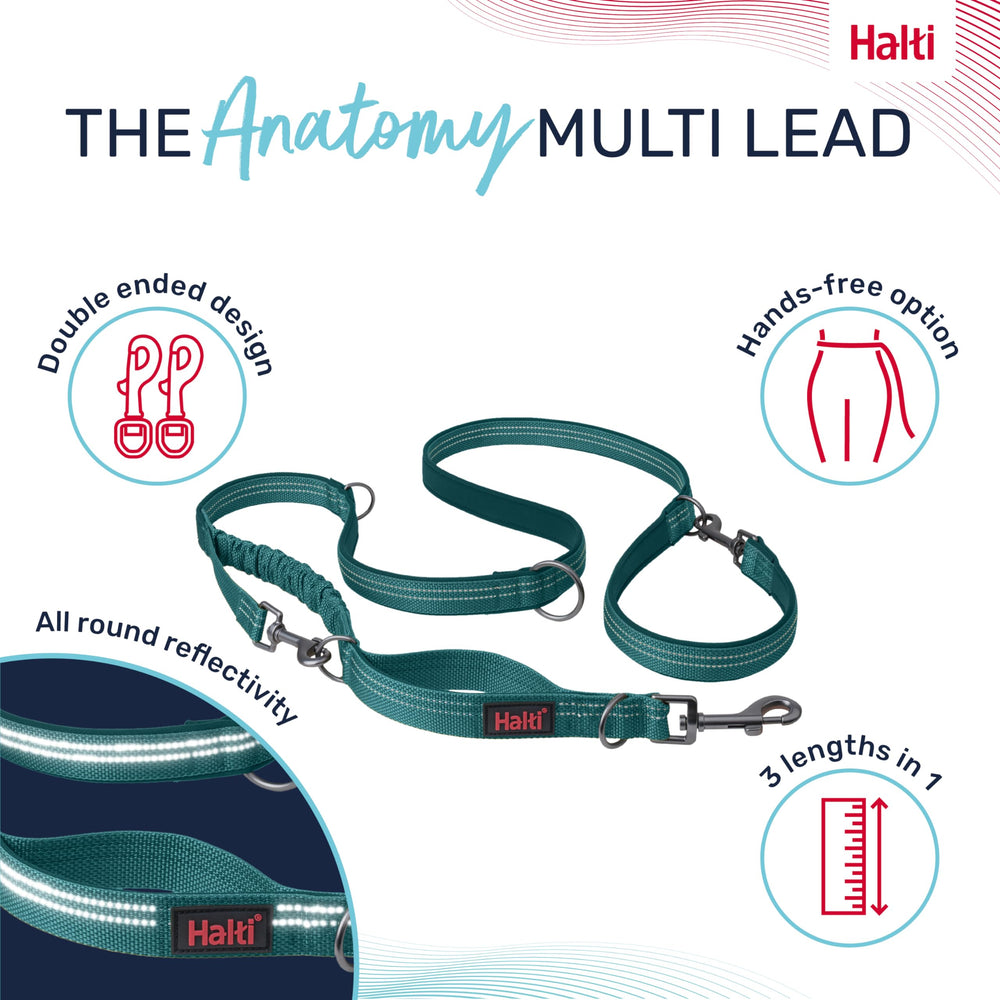 Halti Anatomy longe avec bungee absorbeur pour des pas plus souples.