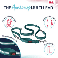 Halti Anatomy longe avec bungee absorbeur pour des pas plus souples.