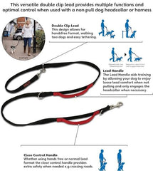 Halti Control Leash, deux attaches pour deux points de connexion et plus de flexibilité.