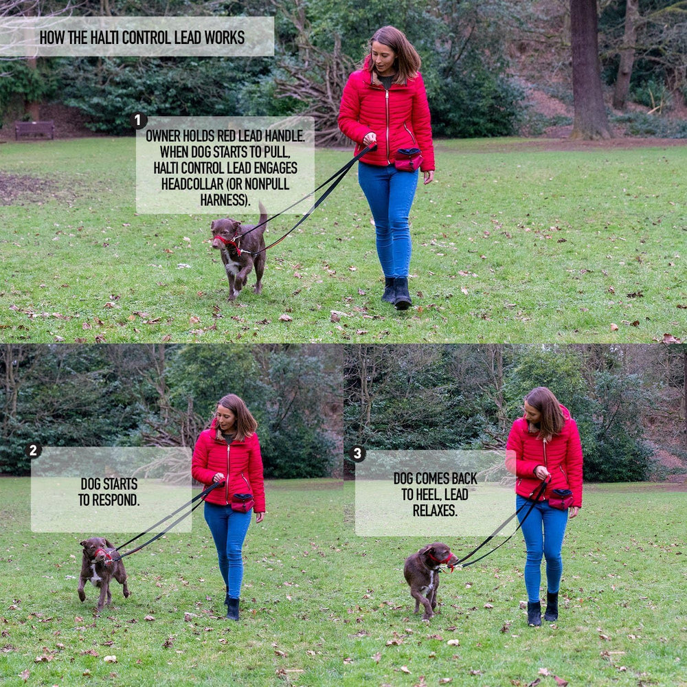 Halti Control Leash, guide d'entraînement inclus pour apprendre le contrôle sans tirage.