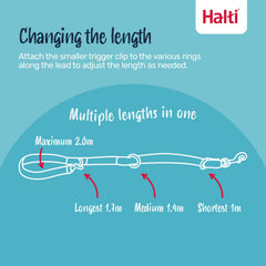 Halti Laisse Entrainement Deux Clips – flexibilité accrue avec deux points de connexion.